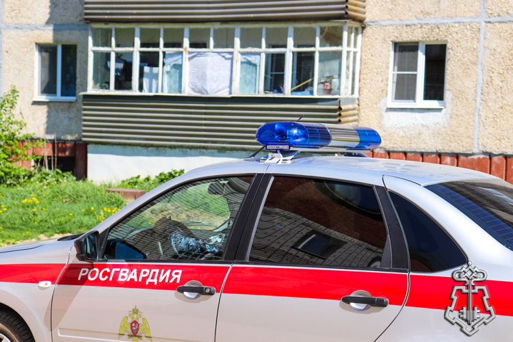 Сотрудники вневедственной охраны Росгвардии задержали жителя Марий Эл, уклонявшегося от административного надзора