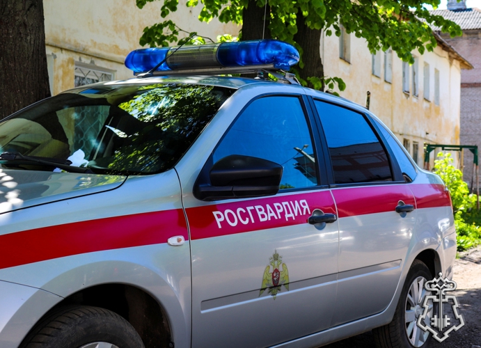 Фотогалерея