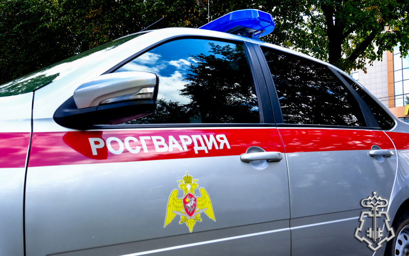 Сотрудники вневедомственной охраны Росгвардии задержали гражданина, подозреваемого в совершении кражи товара из магазина в Йошкар-Оле