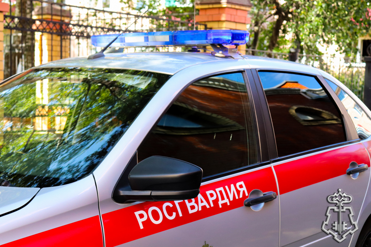 Патруль Росгвардии задержал нетрезвого водителя, ранее лишенного права управления транспортным средством в Марий Эл.
