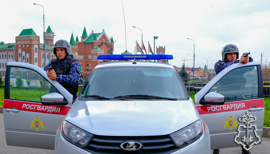 29 октября - День образования подразделений вневедомственной охраны Росгвардии