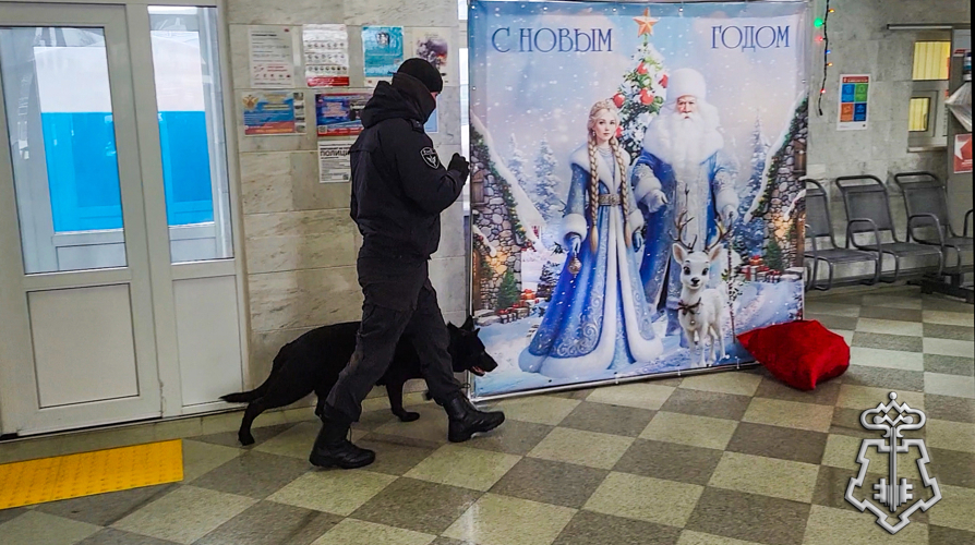 Росгвардия в Йошкар-Оле обеспечивала безопасность сказочной атмосферы во время прибытия Поезда Деда Мороза