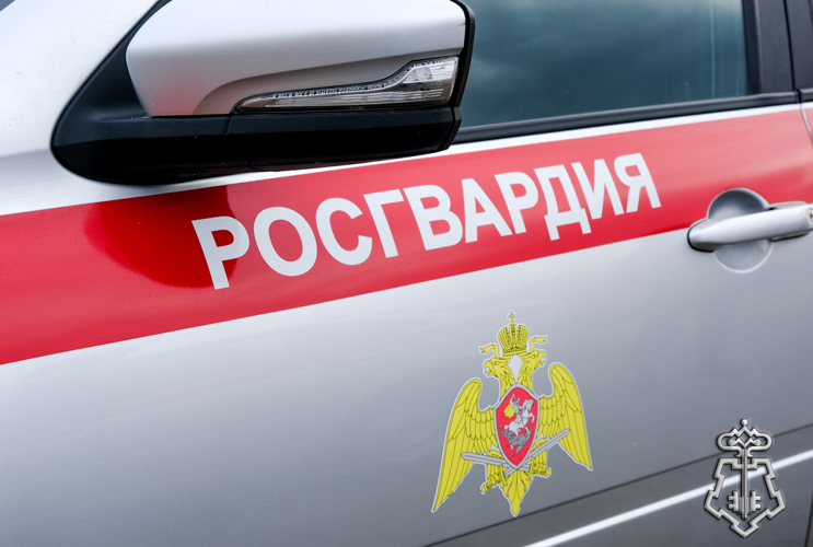 В Йошкар-Оле сотрудники вневедомственной охраны Росгвардии задержали гражданина, подозреваемого в краже товара из супермаркета