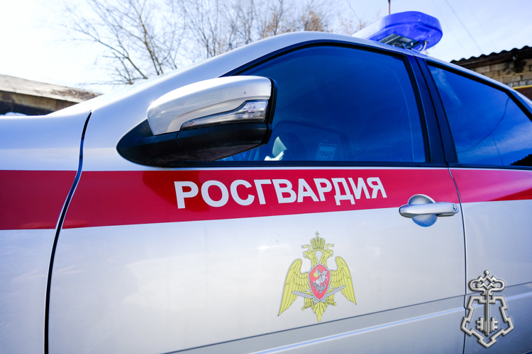 В Марий Эл cотрудники отделения вневедомственной охраны Росгвардии задержали гражданина, подозреваемого в краже из магазина