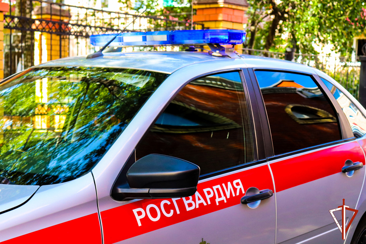 Росгвардейцы задержали гражданина, подозреваемого в серии краж из супермаркета в Йошкар-Оле