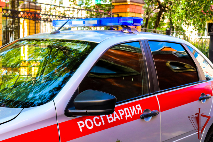 В Марий Эл сотрудники Росгвардии задержали гражданку, находящуюся в федеральном розыске