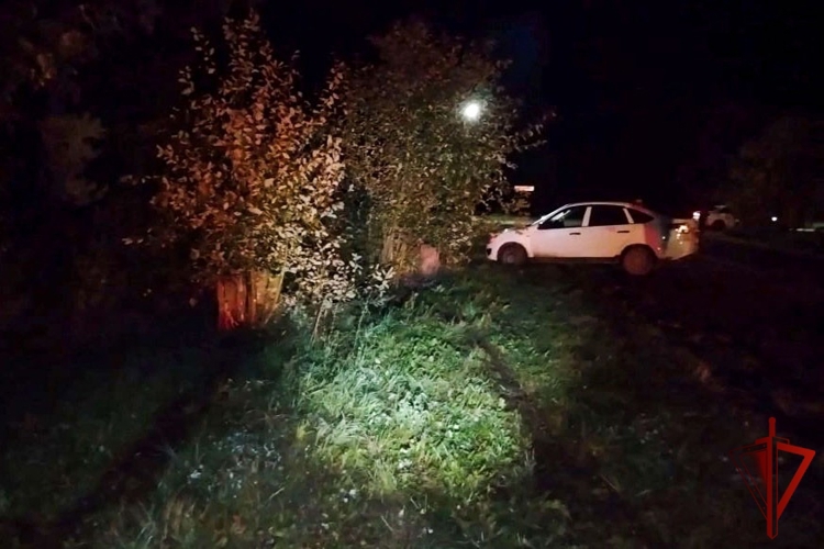 В Сернурском районе сотрудница вневедомственной охраны Росгвардии по Республике Марий Эл оказала помощь пострадавшему в ДТП