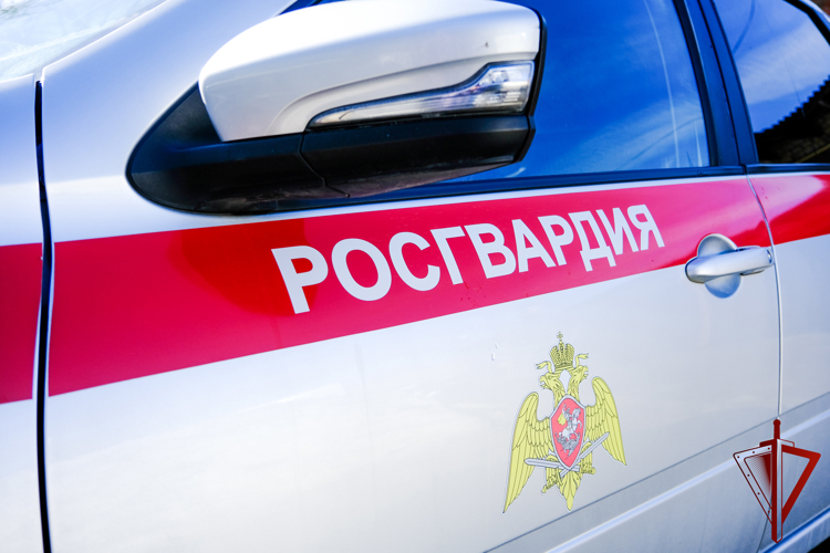 Сотрудники Вневедомственной охраны Росгвардии задержали нарушителя общественного порядка в Йошкар-Оле